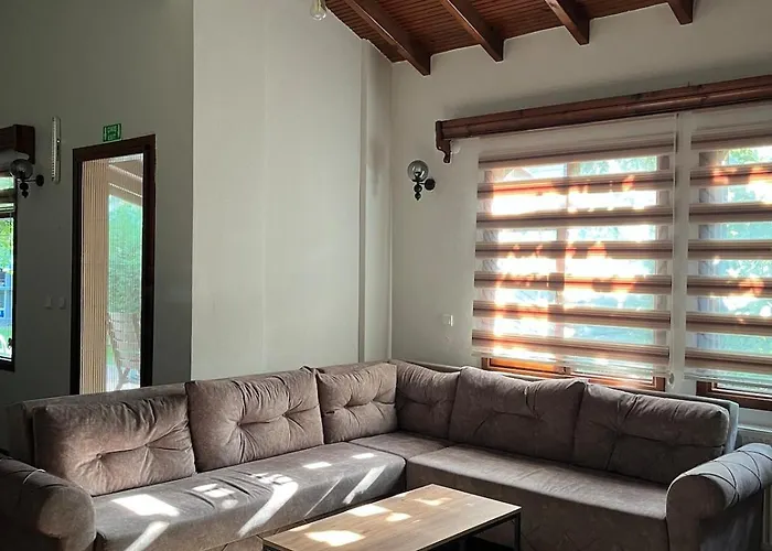 Selbeshome ספנג'ה