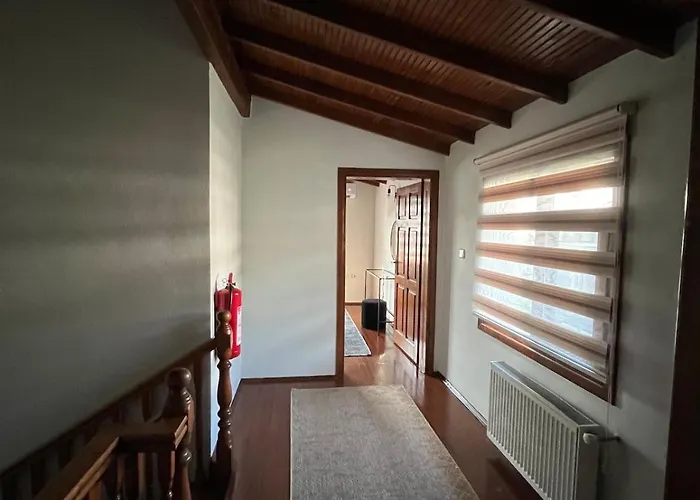 Selbeshome * ספנג'ה